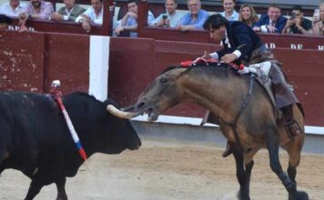 San Isidro: Diego Ventura Consigue su 20a Puerta Grande, y Sigue Contando