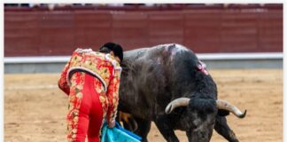 San Isidro: Sálvanos Señor
