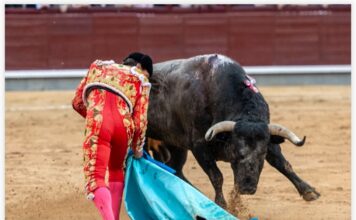 San Isidro: Sálvanos Señor