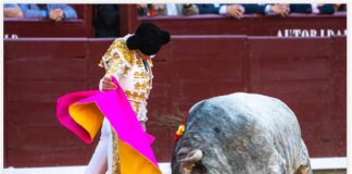 San Isidro: Un Digno Confirmante