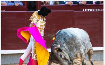 San Isidro: Un Digno Confirmante