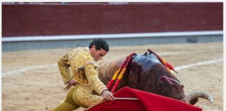 San Isidro: El Arte Yacente