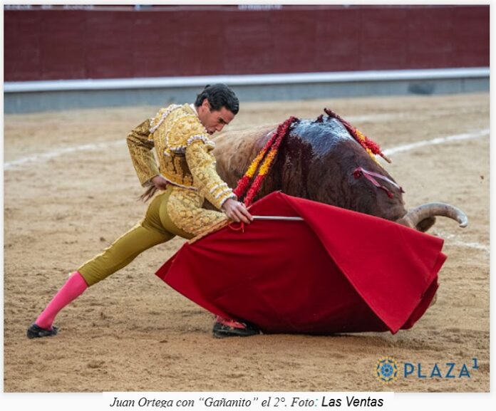 SanIsidro-JADR-21-5-2025