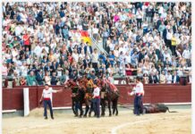 San Isidro: Ay Madrid