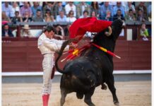San Isidro: Un torazo