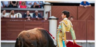San Isidro: De Corazón a Corazón