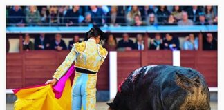 San Isidro: La Pelea de Naranjito y Cia