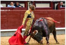 San Isidro: En los Terrenos del Toro