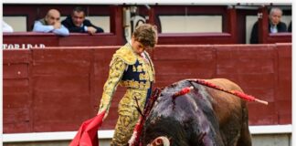 San Isidro: En los Terrenos del Toro