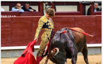San Isidro: En los Terrenos del Toro