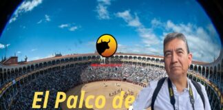 Palco de Cortés: Tormenta y Temple en Las Ventas