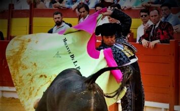 Alicante: El Poder de las Figuras