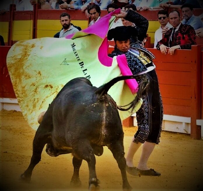 Alicante2-2026