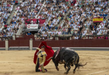 Beneficencia, lluvia y toreo