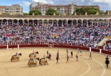 Albacete Feria de Máximos: Morante y Roca Rey Abanderan un Abono