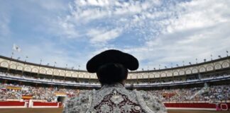 Santander Ante el TSJC para Blindar la Feria