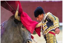 San Isidro: El Toro Fiero