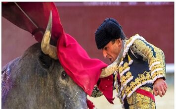 San Isidro: El Toro Fiero