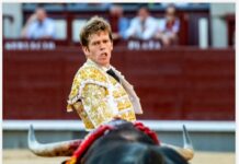 San Isidro: Nueve Toros de Soledad