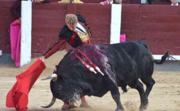 San Isidro: Madrid Se Quebró en el Quinto