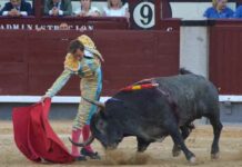 San Isidro: Román Conquista Madrid