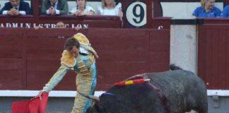 San Isidro: Román Conquista Madrid