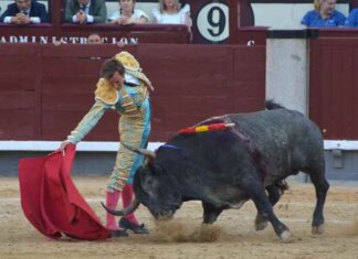 San Isidro: Román Conquista Madrid