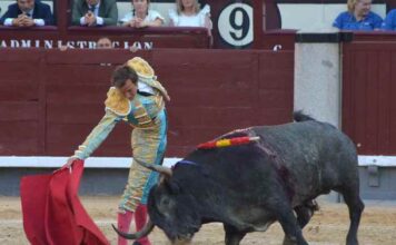 San Isidro: Román Conquista Madrid