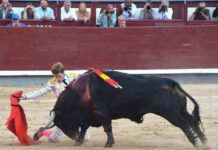 San Isidro: Sin Toro No Hay Gloria