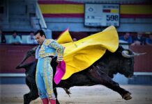 Las Ventas: Más Allá de la Herida