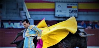 Las Ventas: Más Allá de la Herida