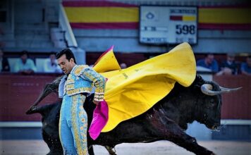 Las Ventas: Más Allá de la Herida