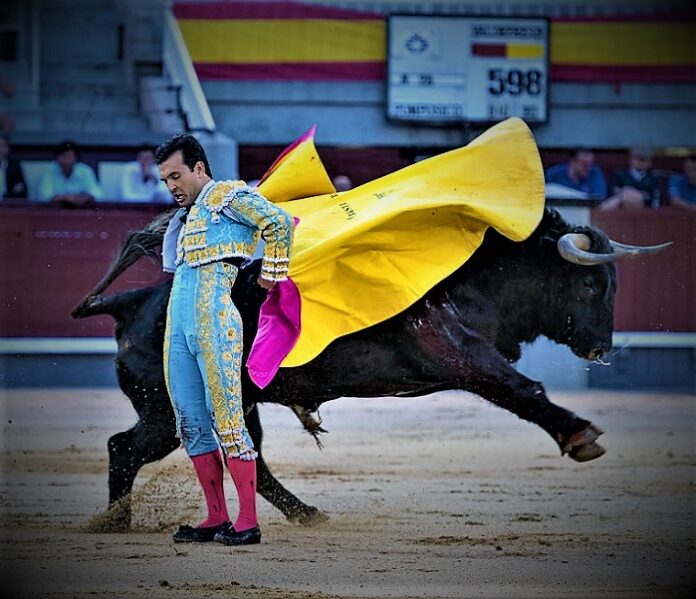 Ventas20-6-26