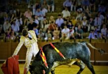 Cristian Restrepo en Sevilla: Inteligencia y Valor