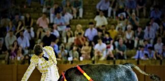 Cristian Restrepo en Sevilla: Inteligencia y Valor