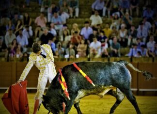 Cristian Restrepo en Sevilla: Inteligencia y Valor