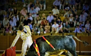 Cristian Restrepo en Sevilla: Inteligencia y Valor