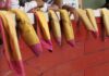 ¡DÍGASE LA VERDAD… AUNQUE SEA MOTIVO DE ESCÁNDALO…!