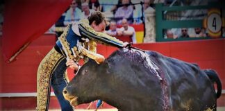 Valencia: La Actitud Fue la Gran Vencedora
