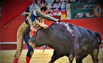 Valencia: La Actitud Fue la Gran Vencedora