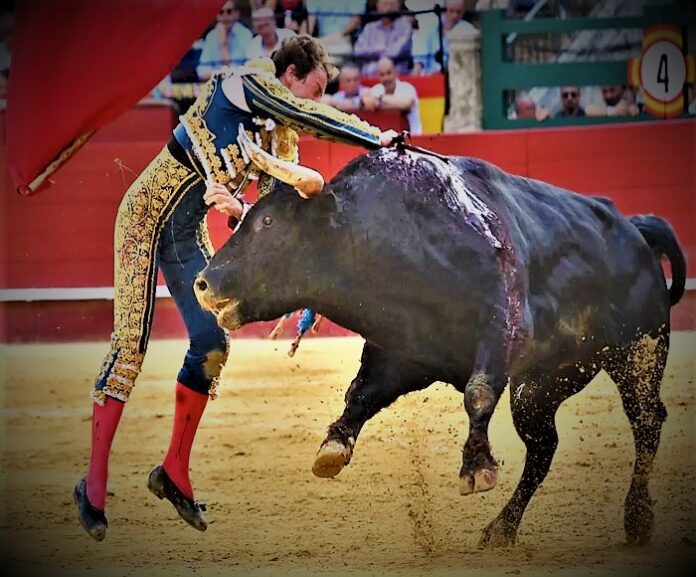 ValenciaJulio-1
