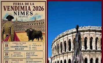 Vendimia 2026: Nimes Apuesta por el Relevo Sin Renunciar a la Grandeza