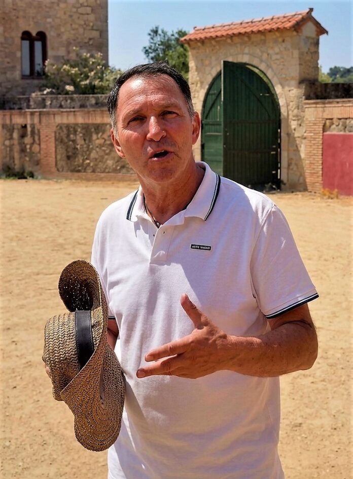 ElToroSolidario