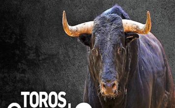 Canal Sur Abre de Nuevo la Maestranza