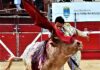 Juan de Castilla: Del Toro Exigente al Triunfo