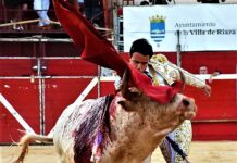 Juan de Castilla: Del Toro Exigente al Triunfo