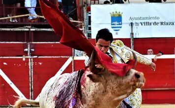 Juan de Castilla: Del Toro Exigente al Triunfo