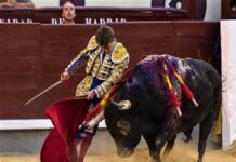 Las Ventas: Madrid Descubre A Andrés García