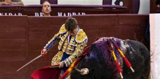 Las Ventas: Madrid Descubre A Andrés García