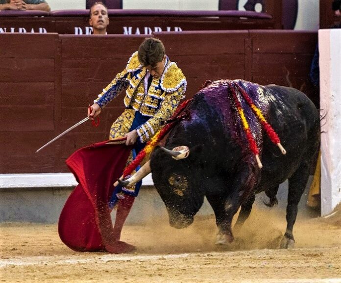 Madrid-LasVentas06-09-26 (1)